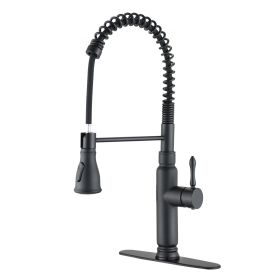 Stainless steel kitchen faucet (Default: Default)